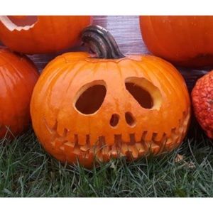 Meet your Posher, Rita